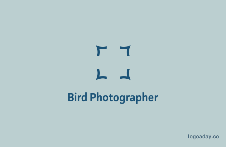 bird photographer